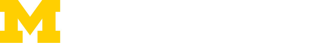 Viswanath Nagarajan site logo